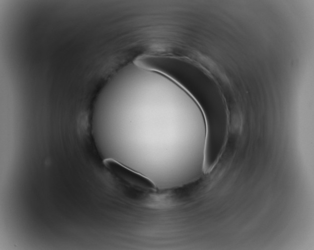 X0000099520560200805151035