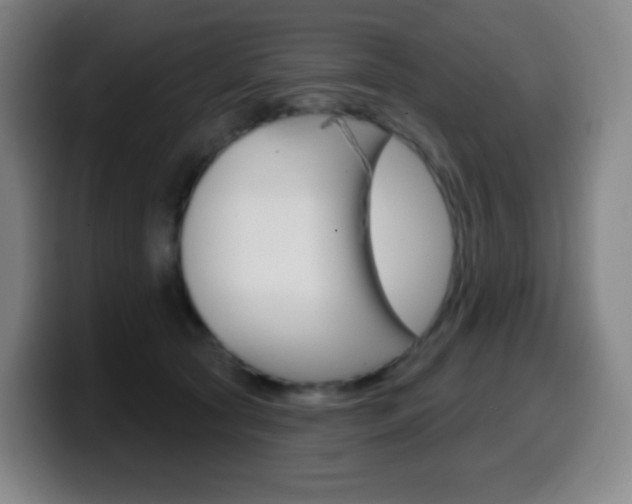 X0000099520561200805151035