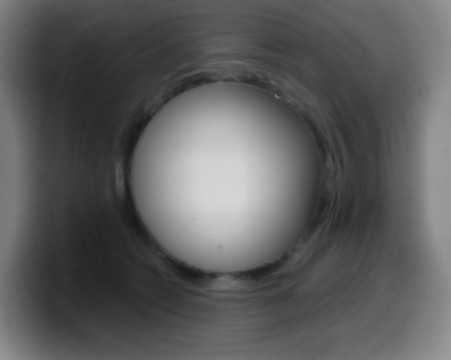 X0000099520562200805151035