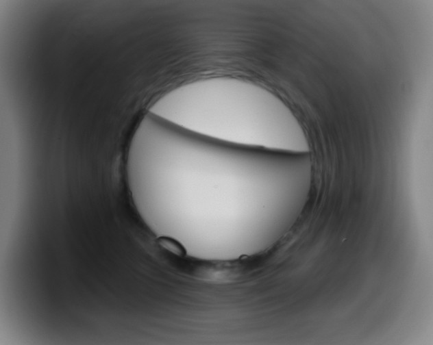 X0000099520563200805151035