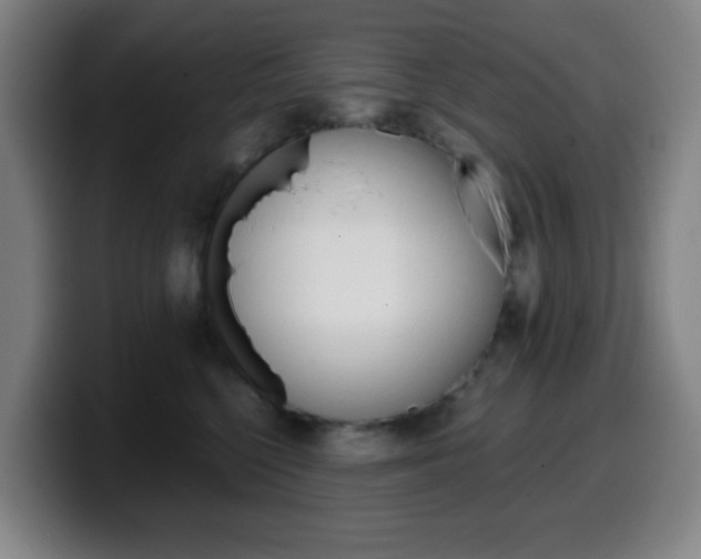 X0000099520568200805151035