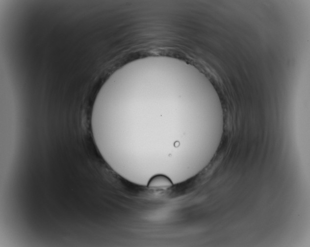 X0000099520569200805151035