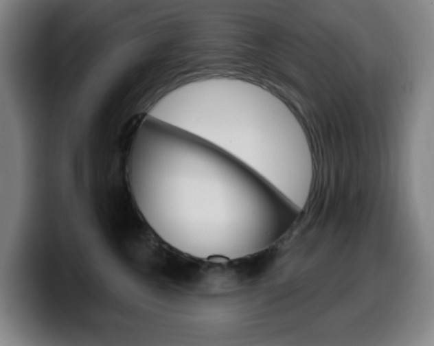 X0000099520572200805151035
