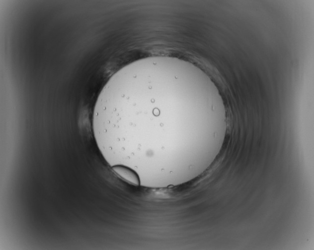 X0000099520573200805151035