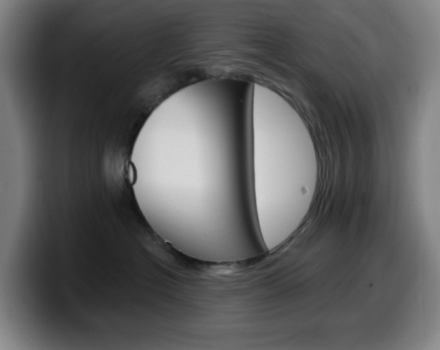 X0000099520574200805151035