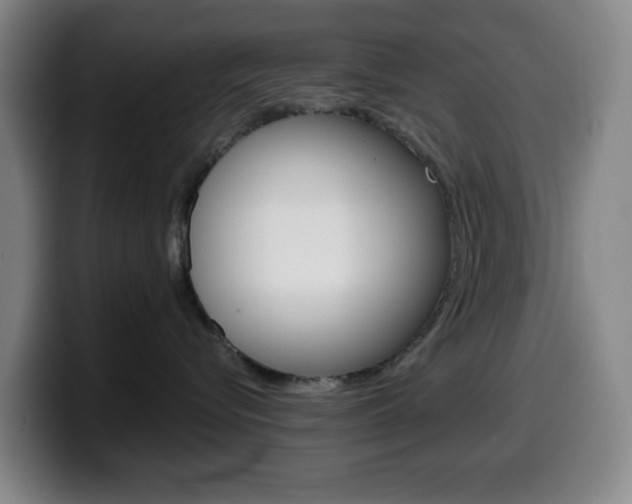 X0000099520576200805151035