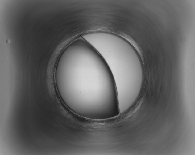 X0000099520577200805151034