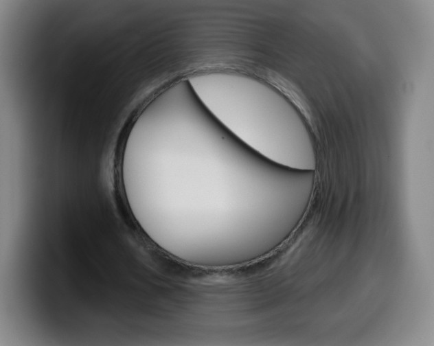 X0000099520578200805151034