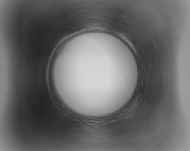 X0000099520579200805151034