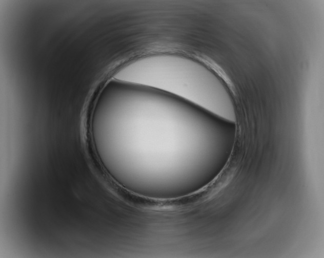X0000099520581200805151034