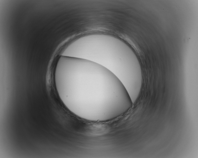 X0000099520583200805151034
