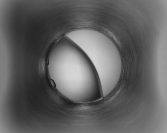 X0000099520589200805151034