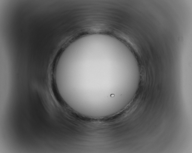 X0000099520590200805151034