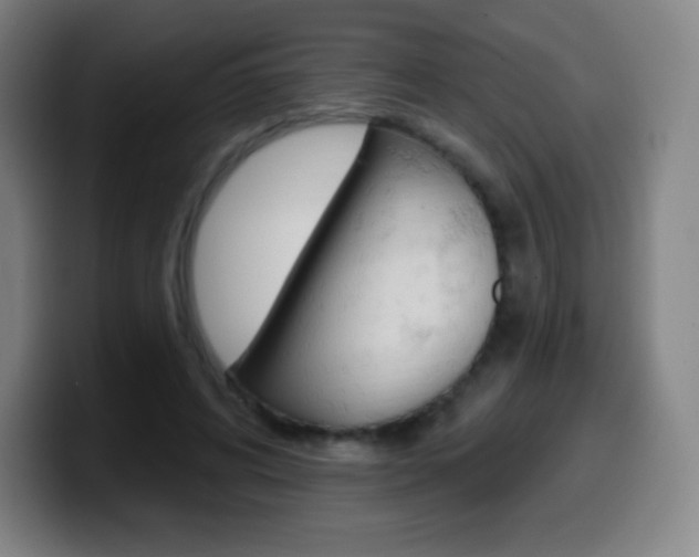 X0000099520592200805151034