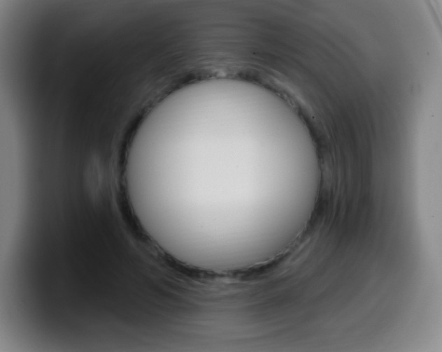X0000099520594200805151034