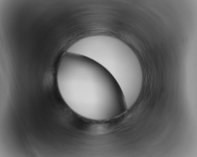 X0000099520595200805151034