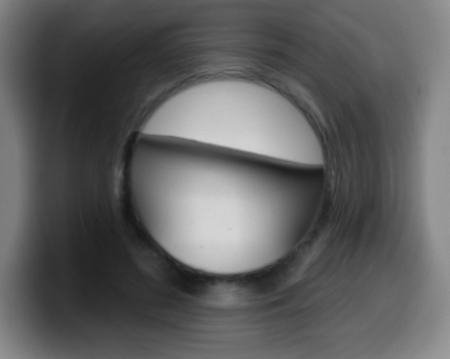 X0000099520596200805151034