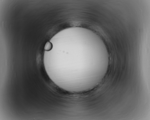 X0000099520598200805151034