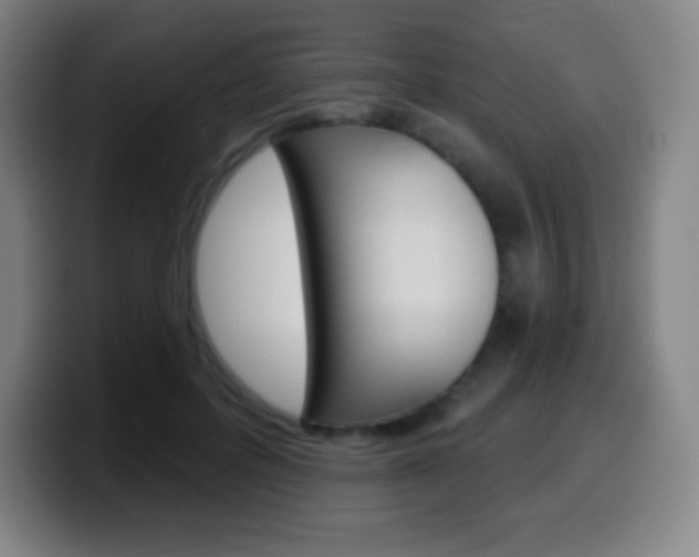 X0000099520600200805151034