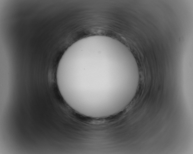 X0000099520606200805151034