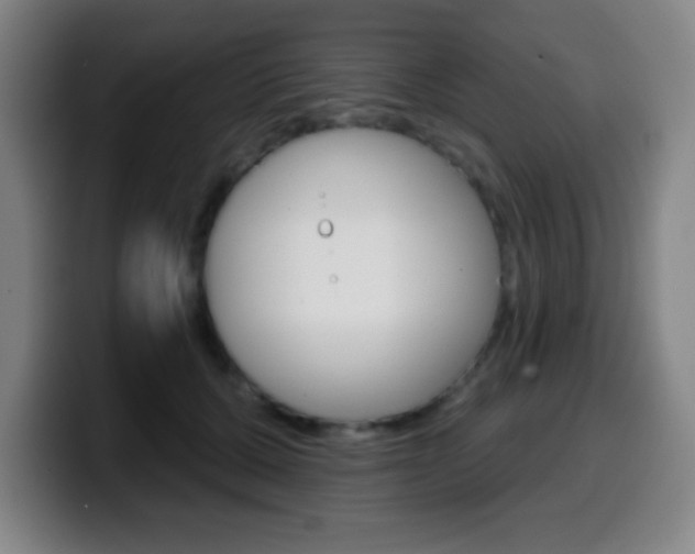 X0000099520607200805151034
