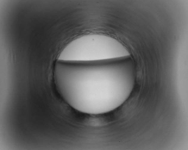 X0000099520608200805151034
