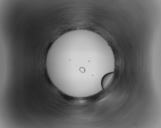 X0000099520610200805151034