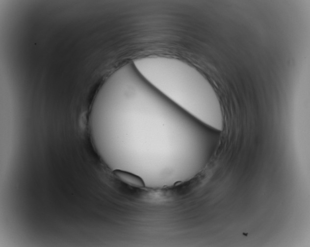 X0000099520611200805151034