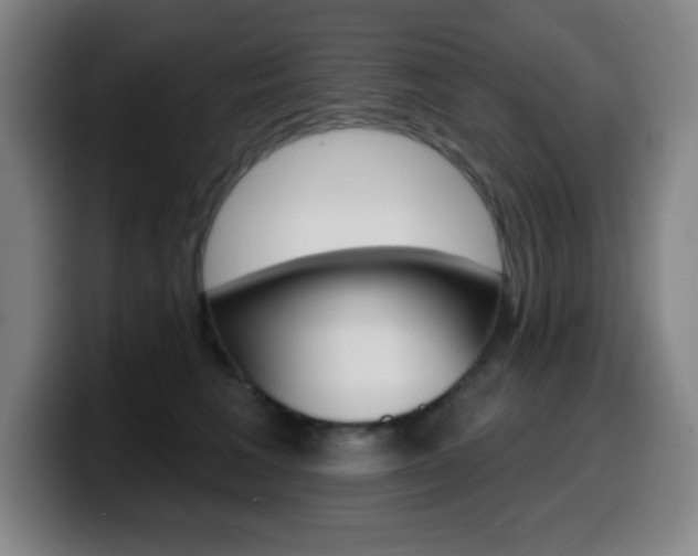 X0000099520613200805151034