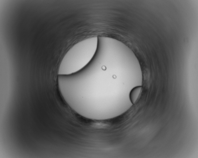 X0000099520614200805151034