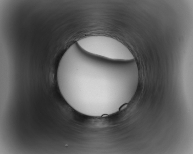 X0000099520615200805151034