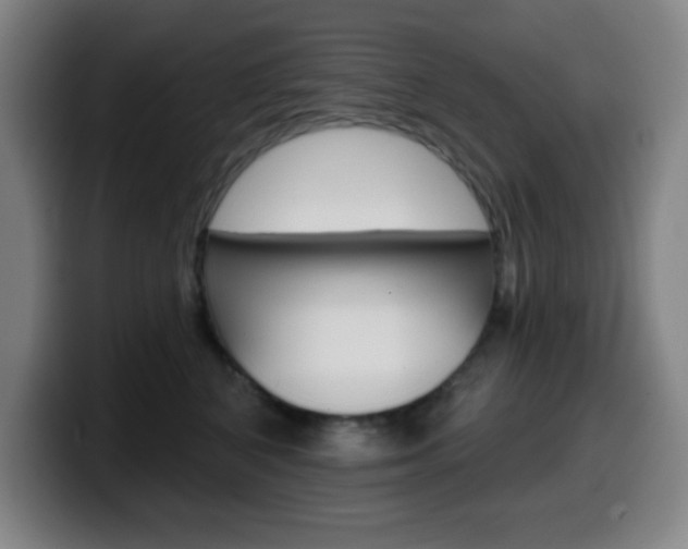 X0000099520616200805151034