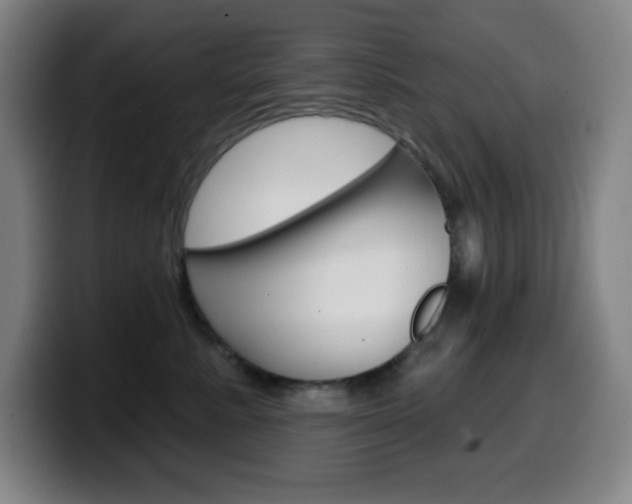 X0000099520619200805151034