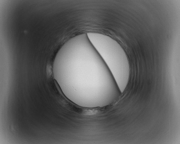 X0000099520621200805151034