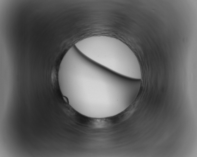 X0000099520623200805151034