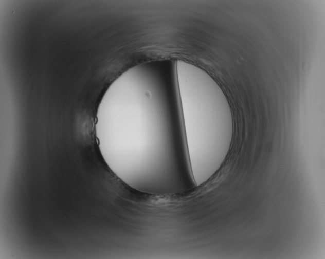 X0000099520624200805151034