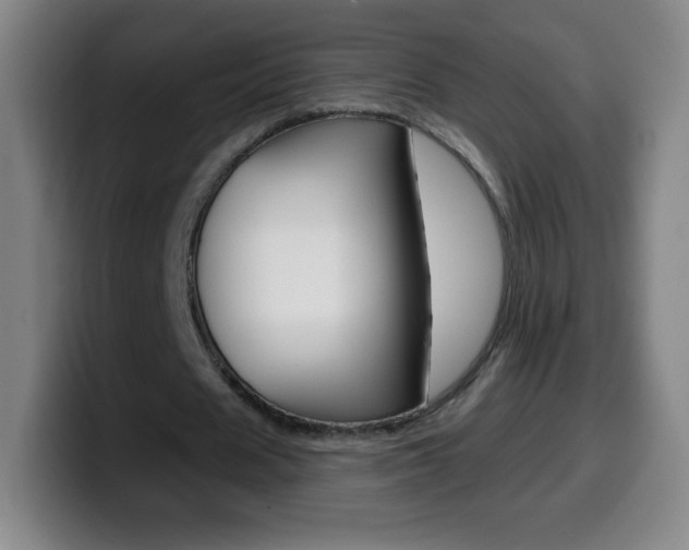X0000099520625200805151033