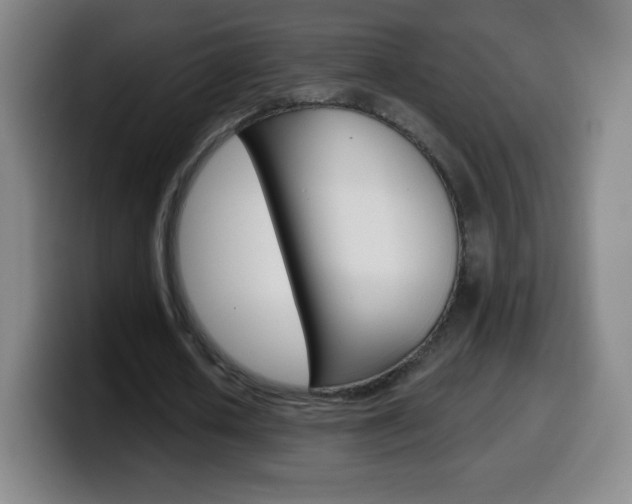 X0000099520626200805151033