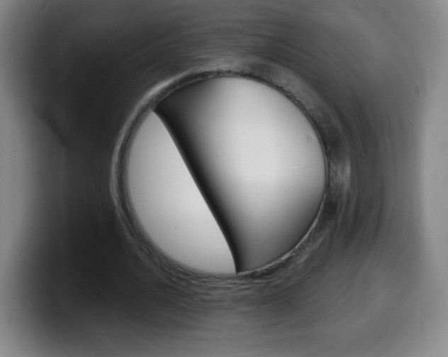 X0000099520628200805151033