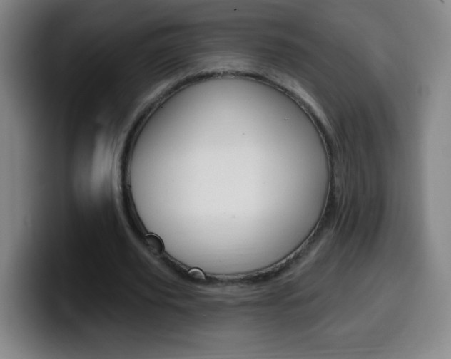 X0000099520629200805151033