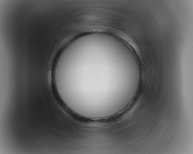 X0000099520633200805151033