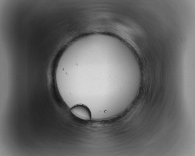 X0000099520635200805151033