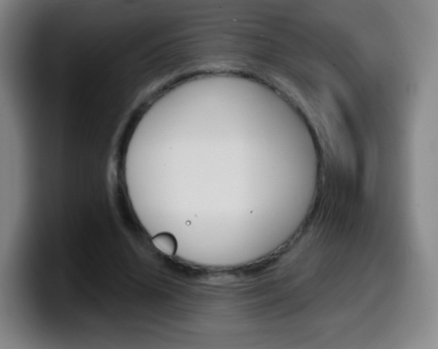 X0000099520636200805151033