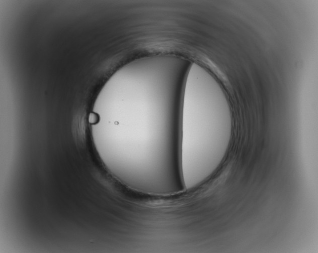 X0000099520637200805151033