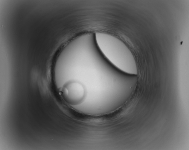X0000099520638200805151033