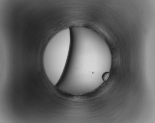 X0000099520641200805151033