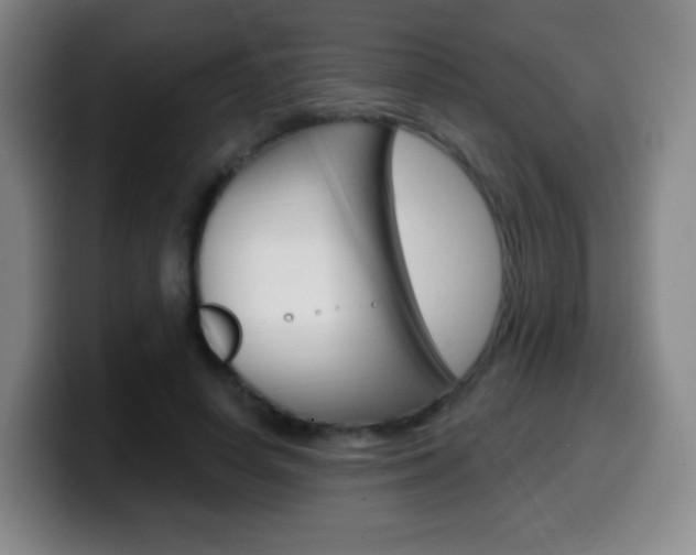 X0000099520642200805151033