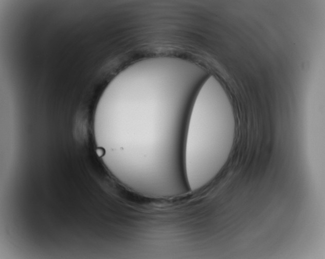 X0000099520644200805151033