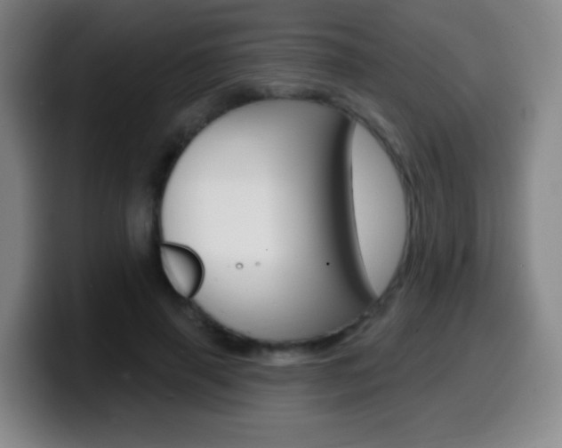 X0000099520645200805151033
