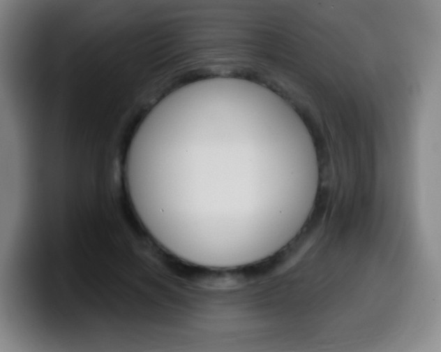X0000099520646200805151033